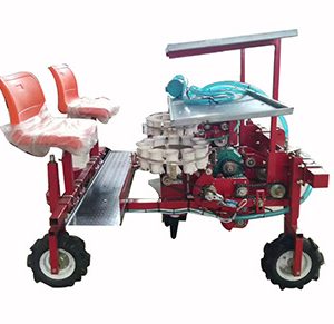 Vegetable transplanter